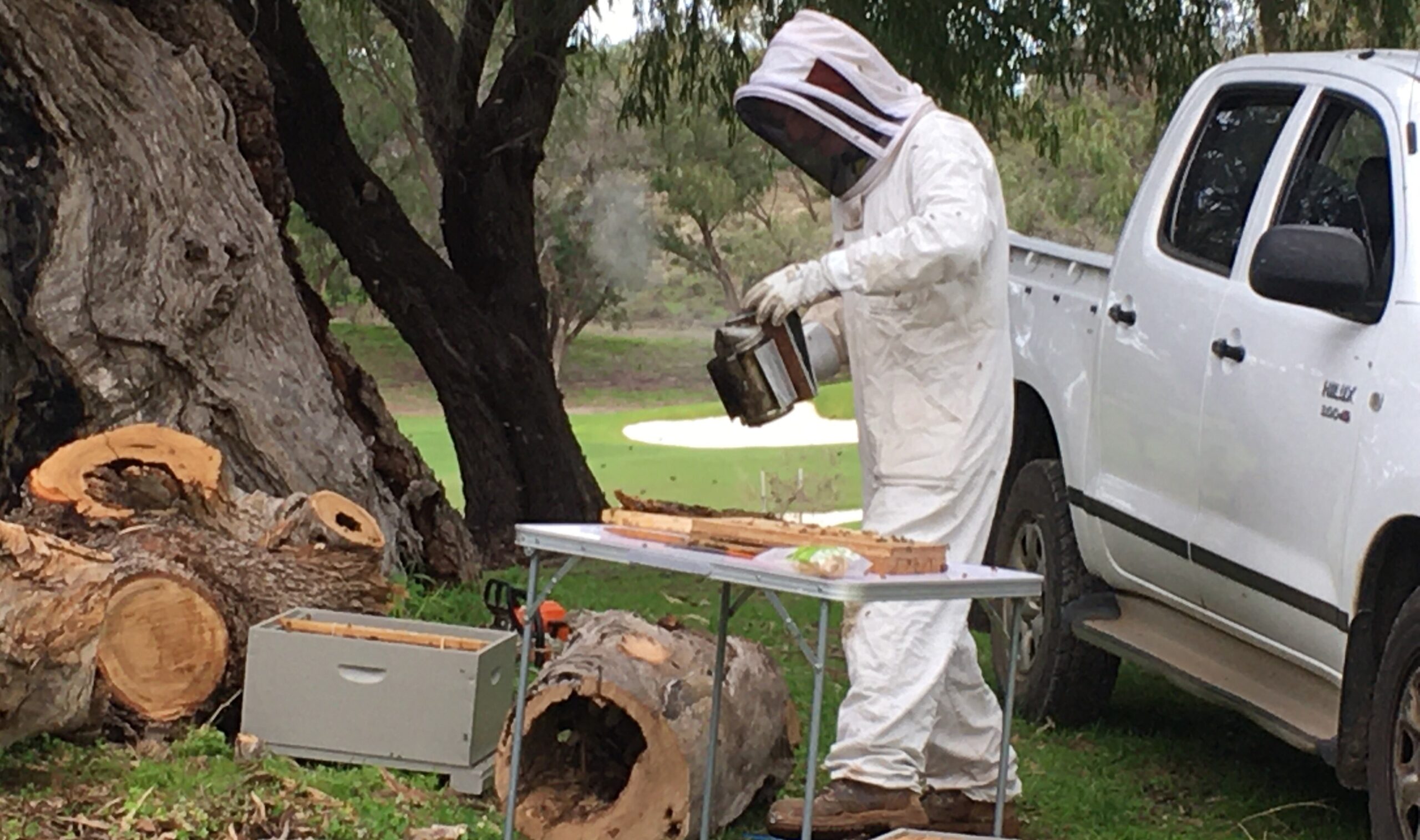 Cottesloe Golf Club beehives